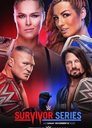 WWE Survivor Series 2018 poszter