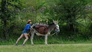 Jó a szamár is háttérkép