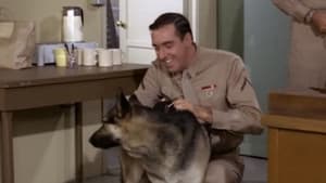 Gomer Pyle, U.S.M.C. Season 4 Ep.19 19. epizód