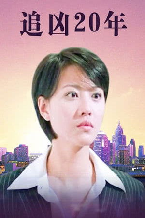 追凶20年 poszter