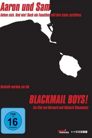 Blackmail Boys poszter