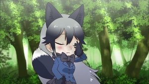 けものフレンズ Speciális epizódok Ep.6 6. epizód