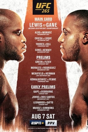 UFC 265: Lewis vs. Gane poszter