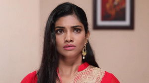 சின்னதம்பி Season 1 Ep.177 177. epizód