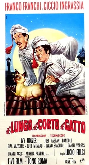 Il lungo, il corto, il gatto poszter