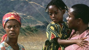 Kini & Adams háttérkép