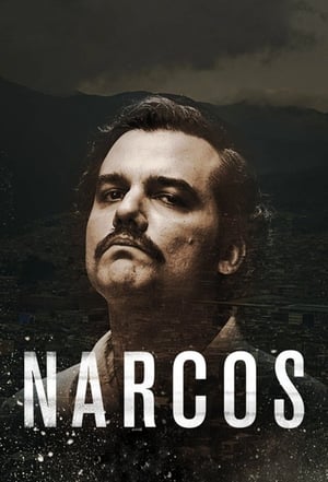 Narcos poszter