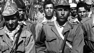 Guerre aux images en Algérie háttérkép