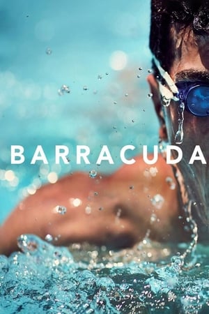 Barracuda