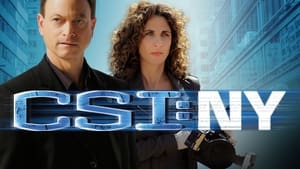 CSI: New York-i helyszínelők kép