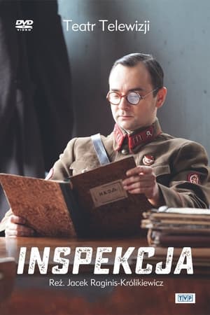 Inspekcja