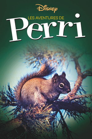 Perri poszter