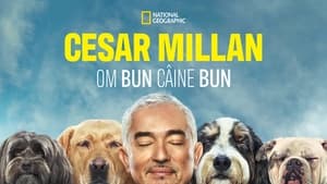 Cesar Millan: Jó gazdi, jó kutya kép