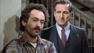 Hill Street Blues Season 4 Ep.15 15. epizód