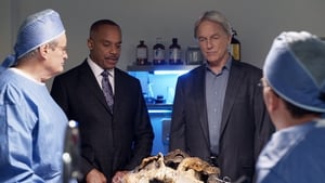 NCIS 15. évad Ep.8 Hangok