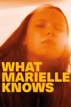 Was Marielle weiß poszter