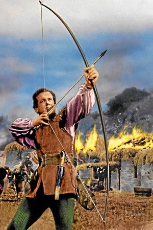Sword of Sherwood Forest poszter