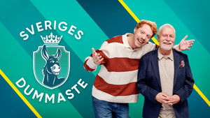 Sveriges dummaste kép