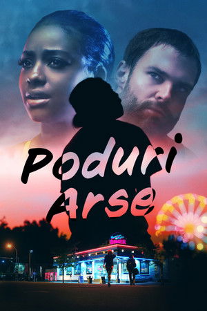 Leégett hidak poszter