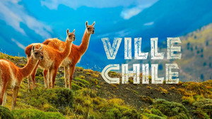 Vad Chile kép