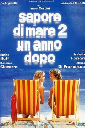 Sapore di mare 2 - Un anno dopo poszter