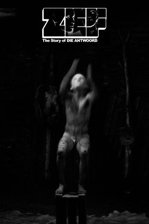 ZEF - The Story of Die Antwoord poszter