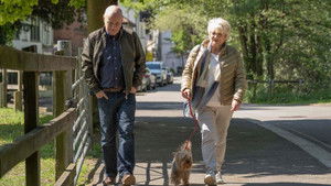 23 Walks háttérkép