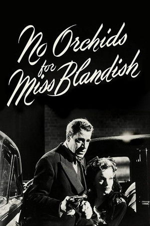 No Orchids for Miss Blandish poszter