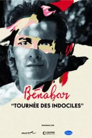 Bénabar - Tournée des indociles poszter