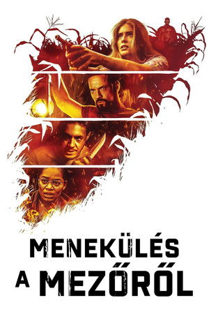Menekülés a mezőről