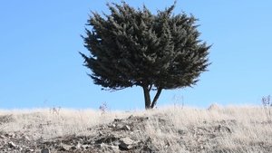 کجاست جای رسیدن؟ háttérkép
