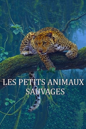 Les Petits Animaux Sauvages poszter