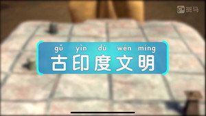 斑马百科 10. évad Ep.4 4. epizód