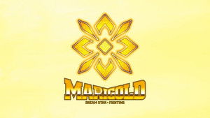 マリーゴールド kép