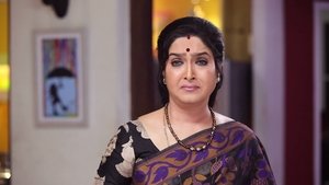 சின்னதம்பி Season 1 Ep.206 206. epizód