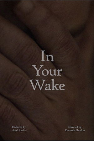 In Your Wake poszter
