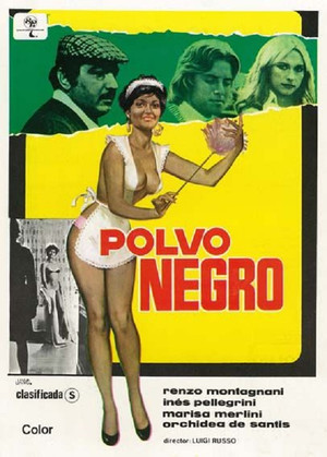 Una bella governante di colore poszter