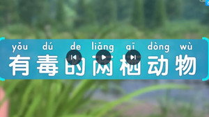 斑马百科 29. évad Ep.11 11. epizód