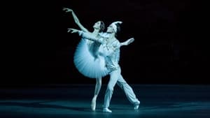 Bolshoi Ballet: La Bayadère háttérkép