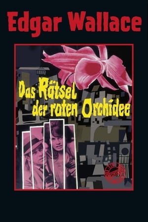 Das Rätsel der roten Orchidee poszter