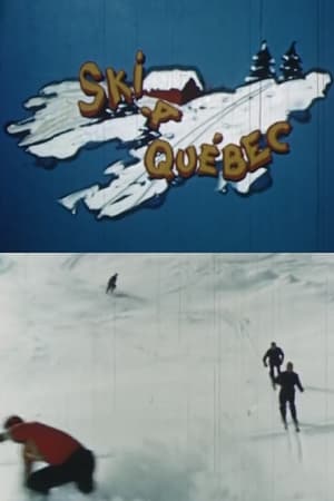 Ski à Québec