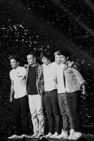 One Direction: Where We Are - The Concert Film poszter