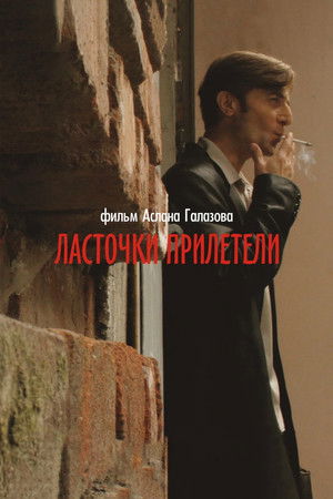 Ласточки прилетели poszter