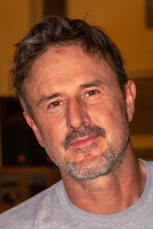 David Arquette profil kép