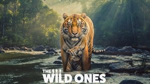 The Wild Ones kép