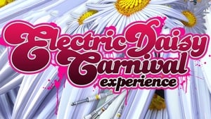 Electric Daisy Carnival Experience háttérkép