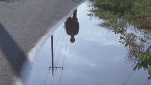 疾走 háttérkép