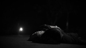 বিষ পিঁপড়া háttérkép