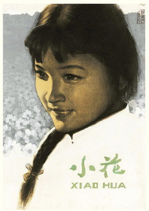 小花 poszter