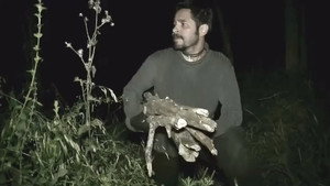 The Woodsman háttérkép